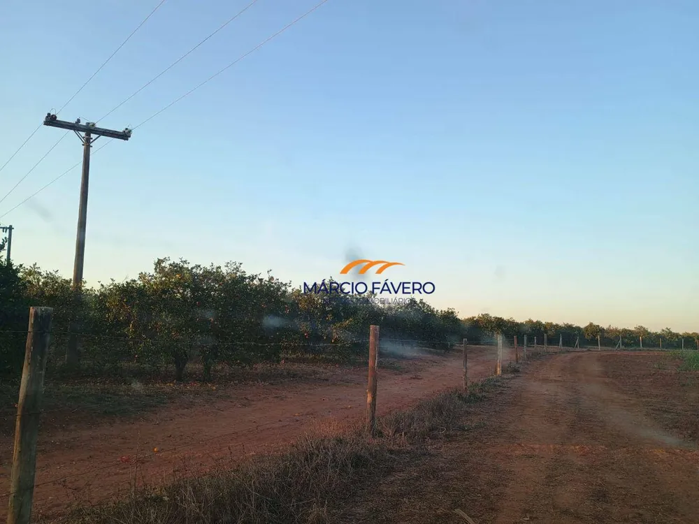 Sítio, 46 hectares - Foto 1