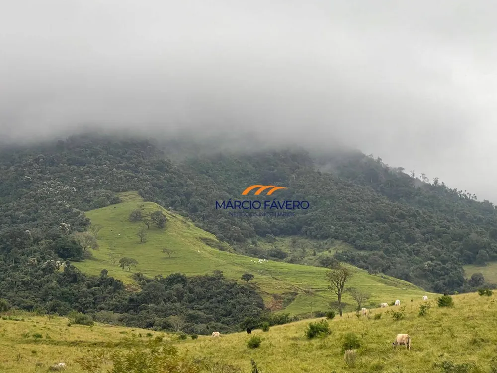 Sítio, 44 hectares - Foto 1