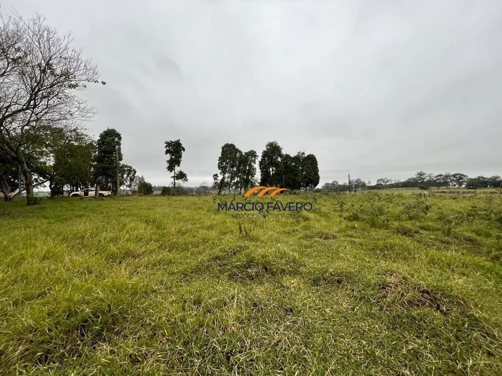 Sítio, 44 hectares - Foto 10