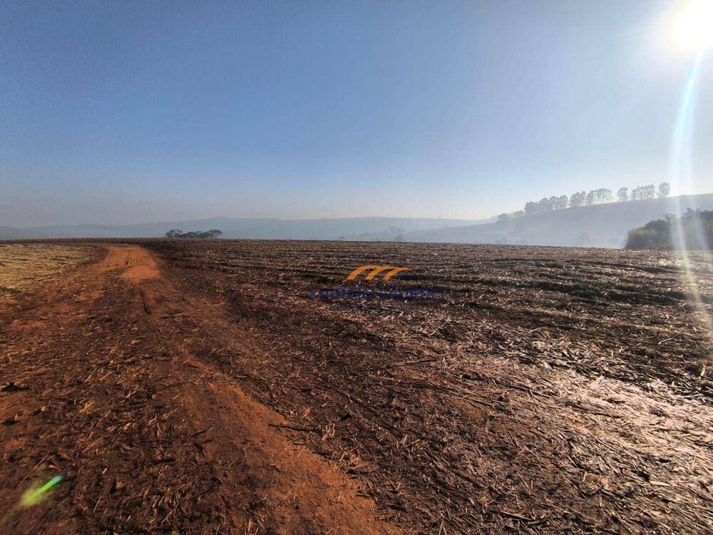 Fazenda, 460 hectares - Foto 1