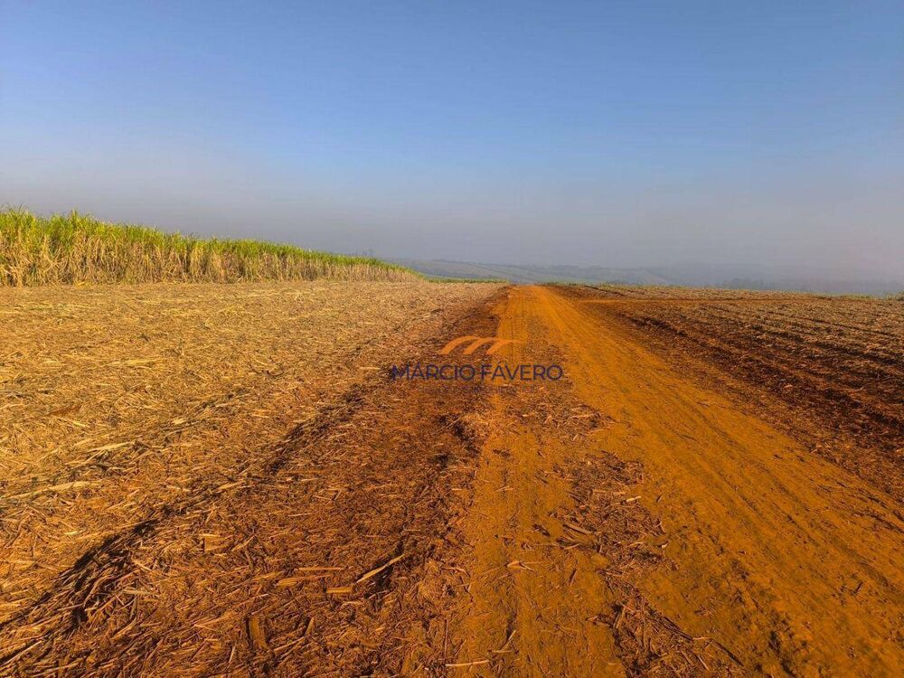 Fazenda, 460 hectares - Foto 3