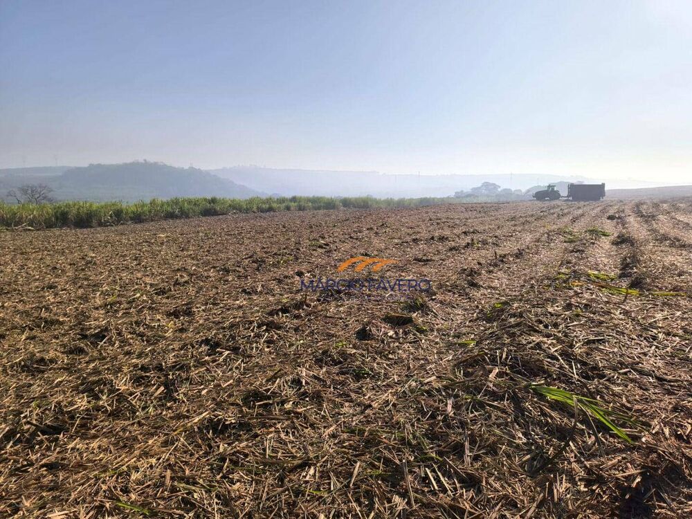 Fazenda, 460 hectares - Foto 2