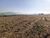 Fazenda, 460 hectares - Foto 2