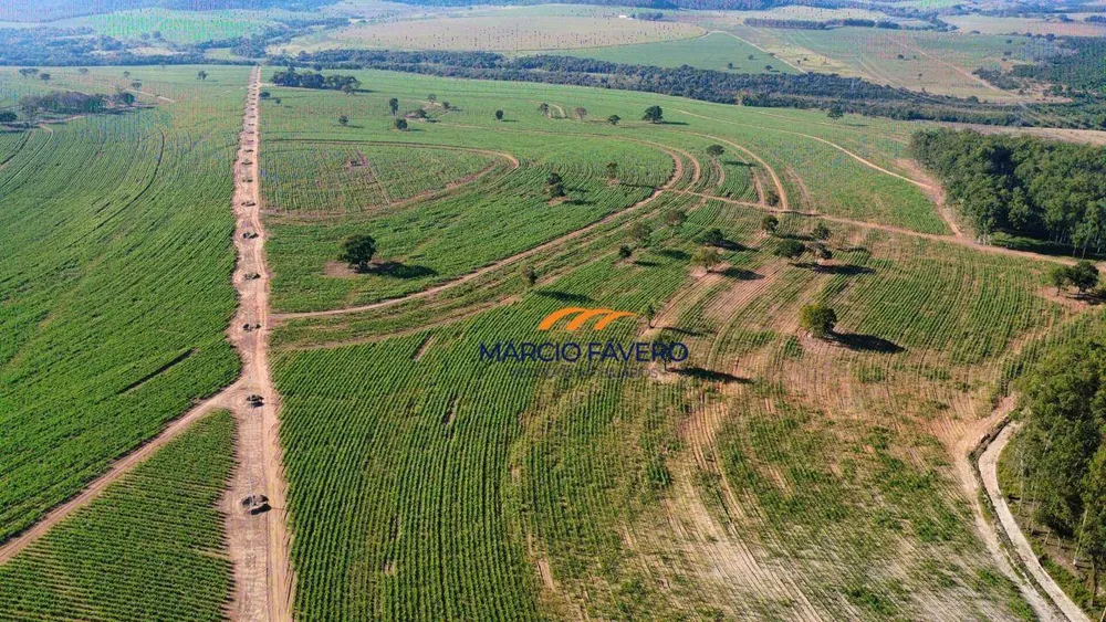 Fazenda, 605 hectares - Foto 8