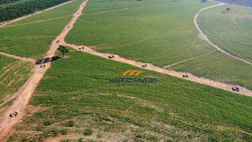 Fazenda, 605 hectares - Foto 11