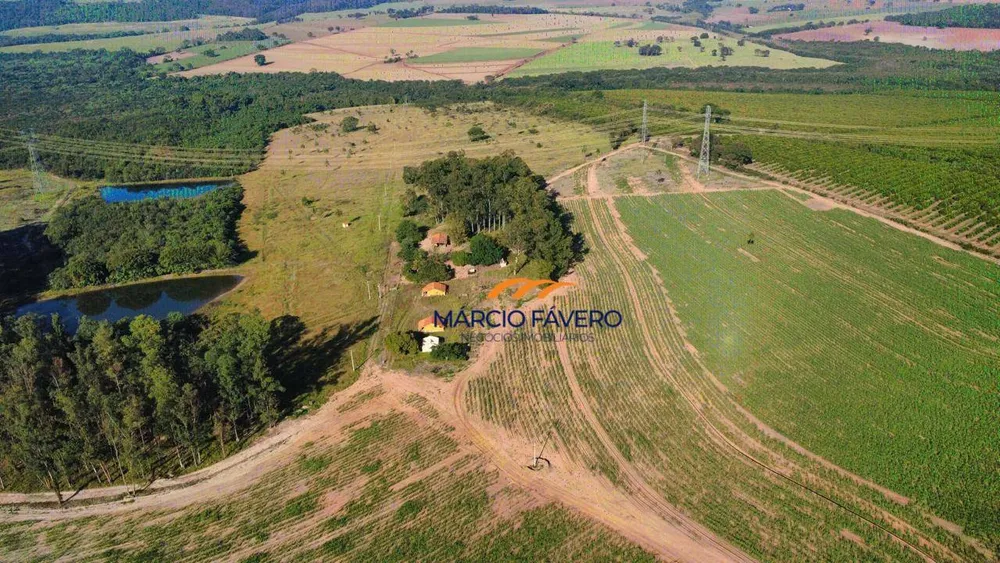 Fazenda, 605 hectares - Foto 7