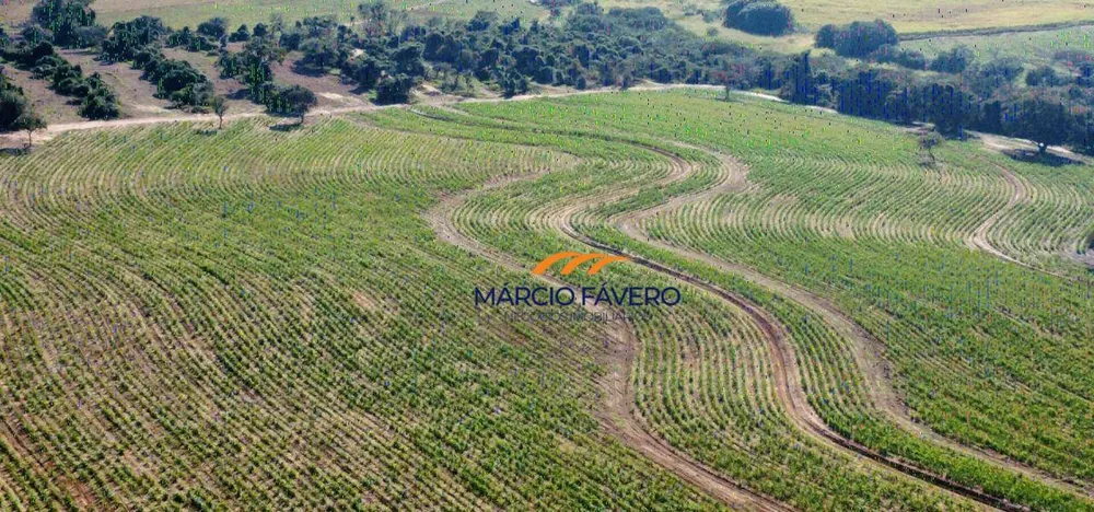 Fazenda, 605 hectares - Foto 1