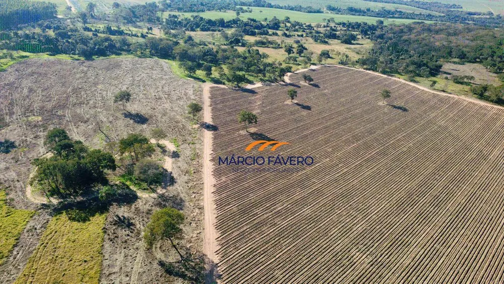 Fazenda, 605 hectares - Foto 10