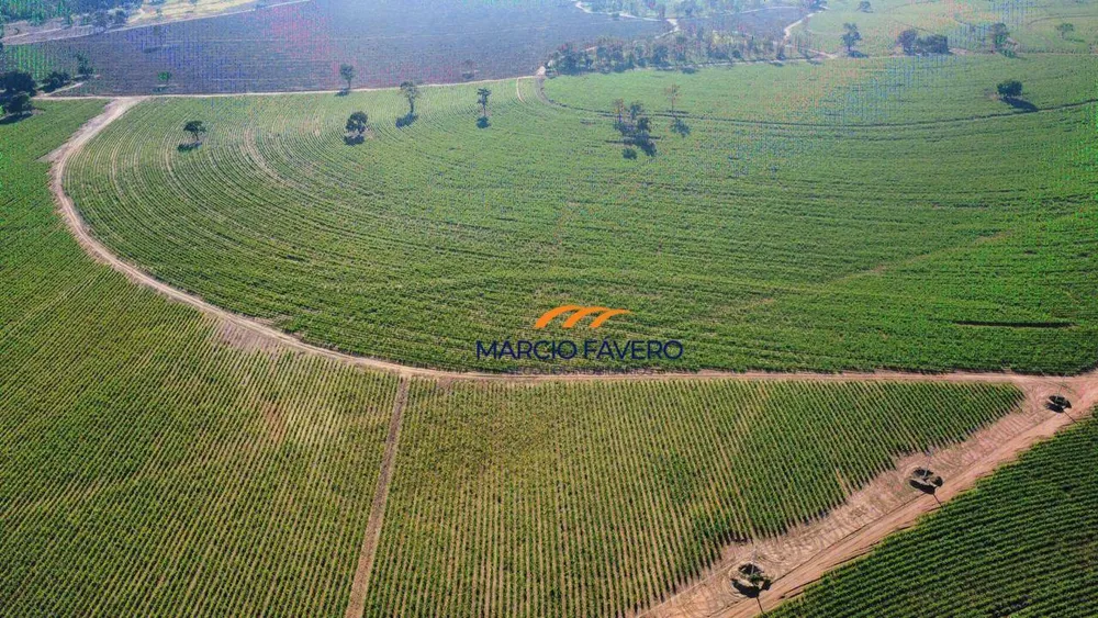 Fazenda, 605 hectares - Foto 4
