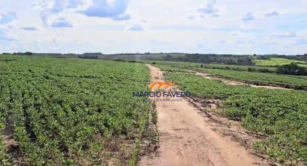 Fazenda, 194 hectares - Foto 3