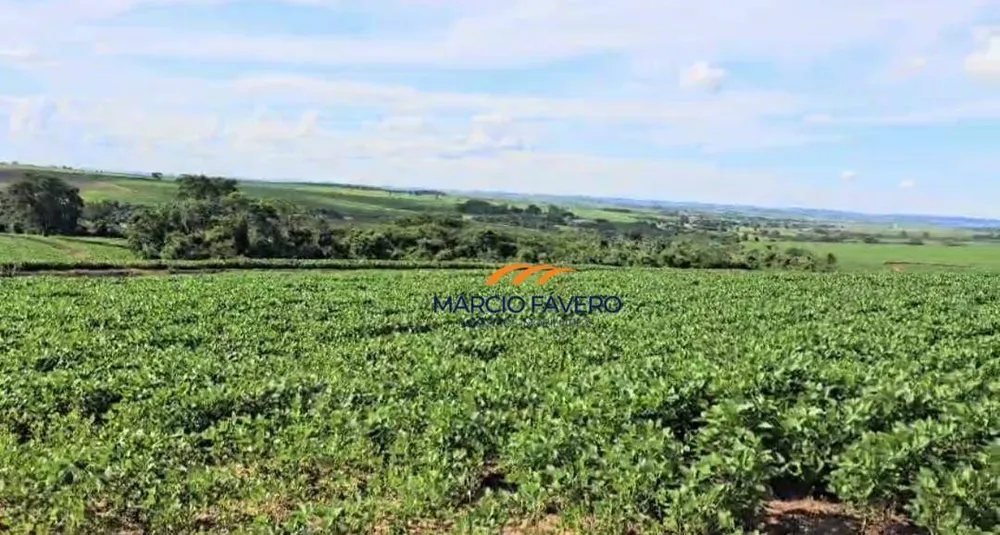 Fazenda, 194 hectares - Foto 1