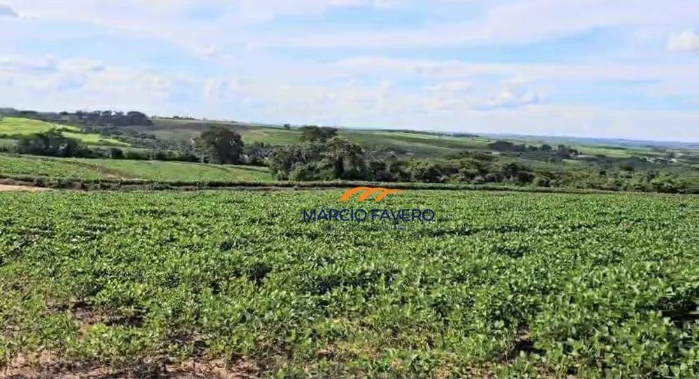 Fazenda, 194 hectares - Foto 2