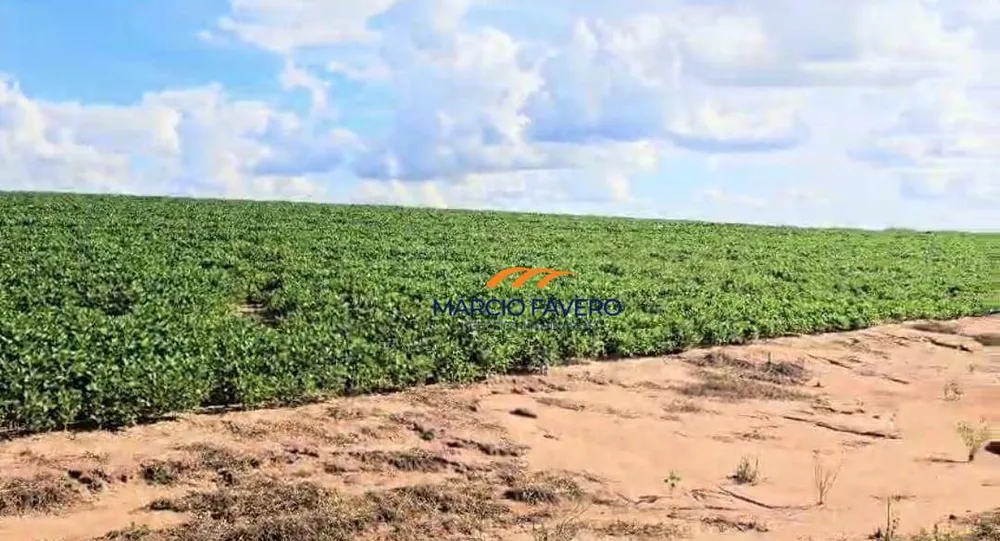 Fazenda, 194 hectares - Foto 4