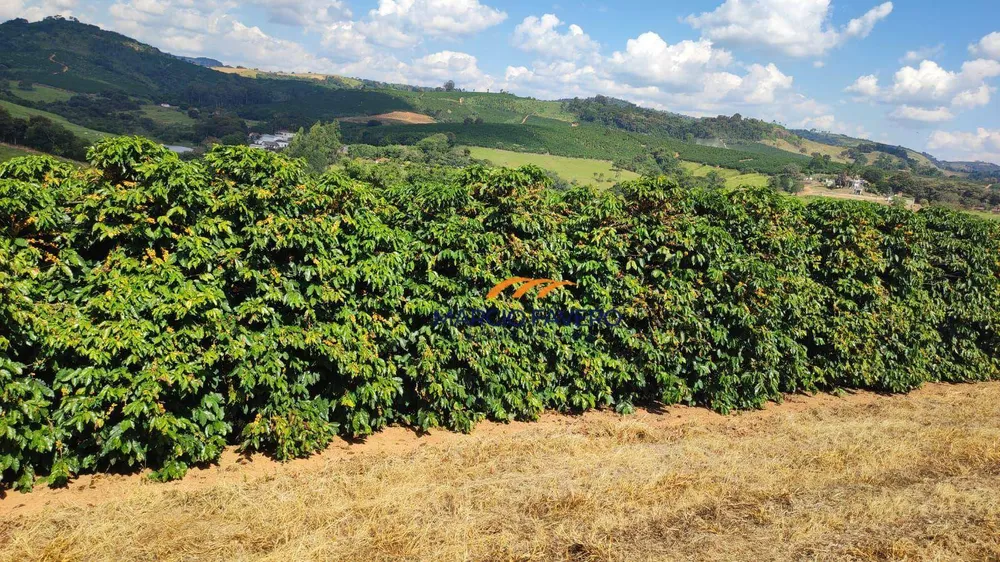 Fazenda, 253 hectares - Foto 3