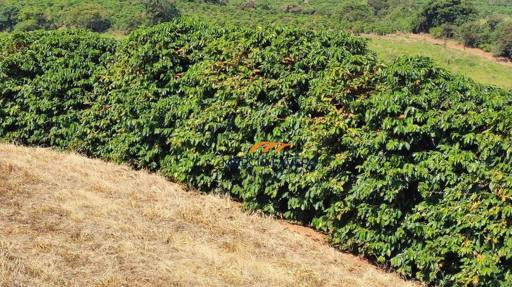 Fazenda, 253 hectares - Foto 4