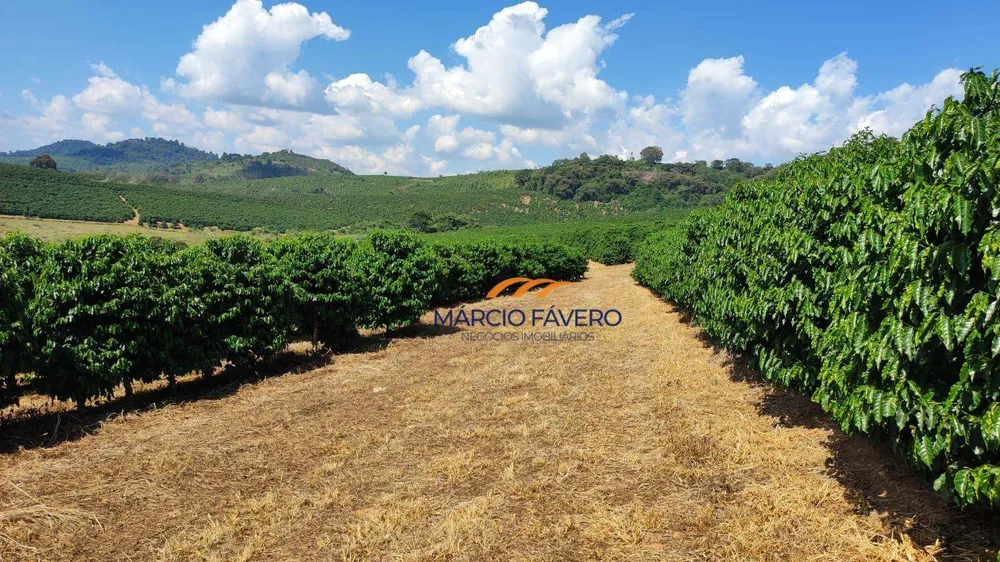 Fazenda, 253 hectares - Foto 1