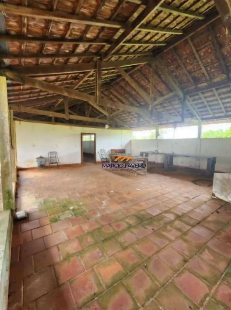 Fazenda, 109 hectares - Foto 8