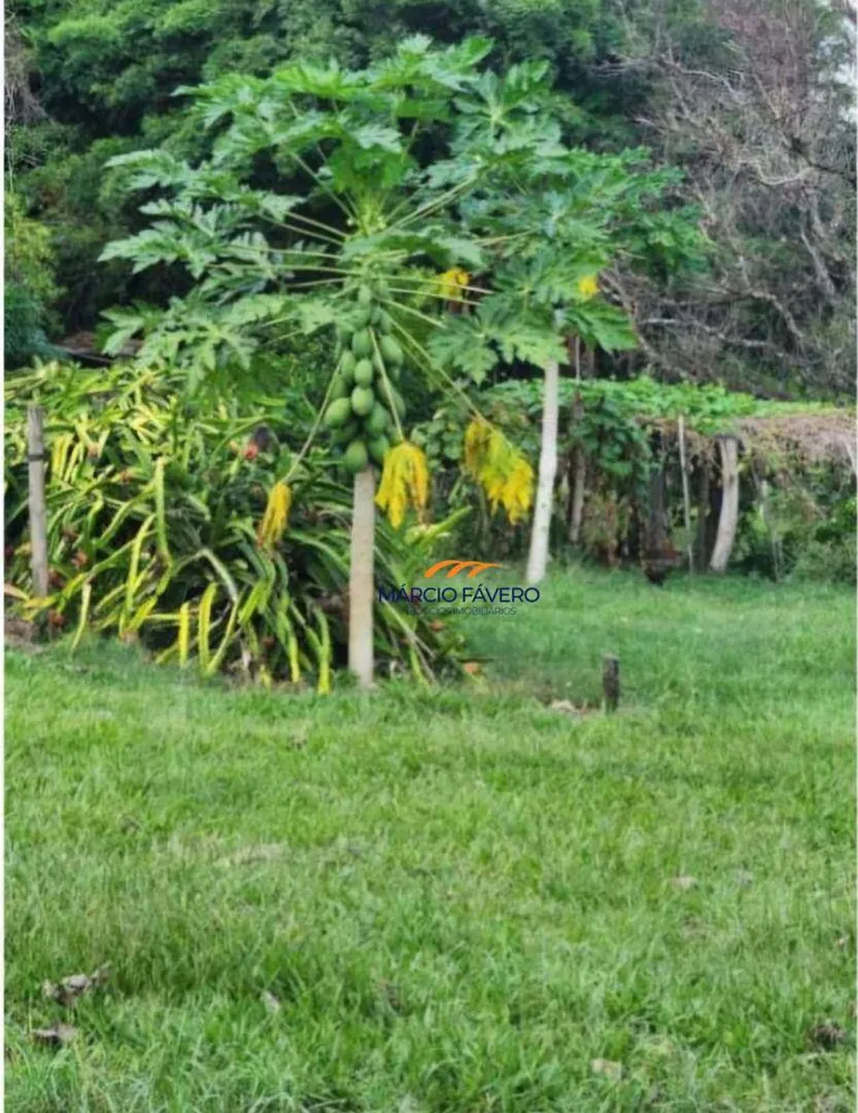 Fazenda, 109 hectares - Foto 2