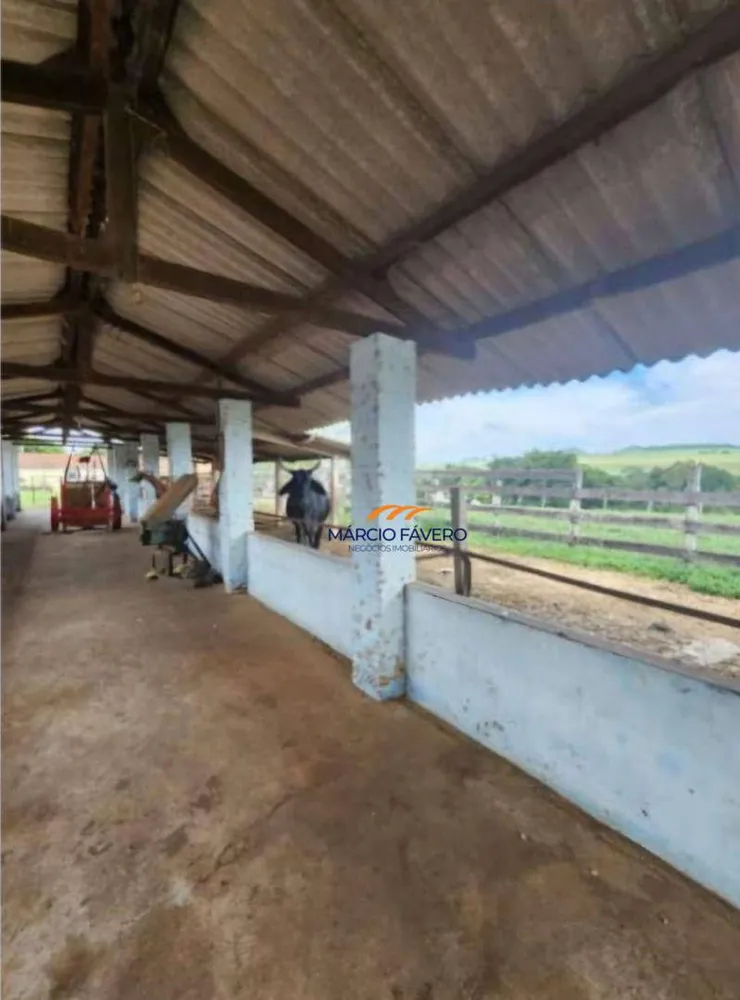 Fazenda, 109 hectares - Foto 4