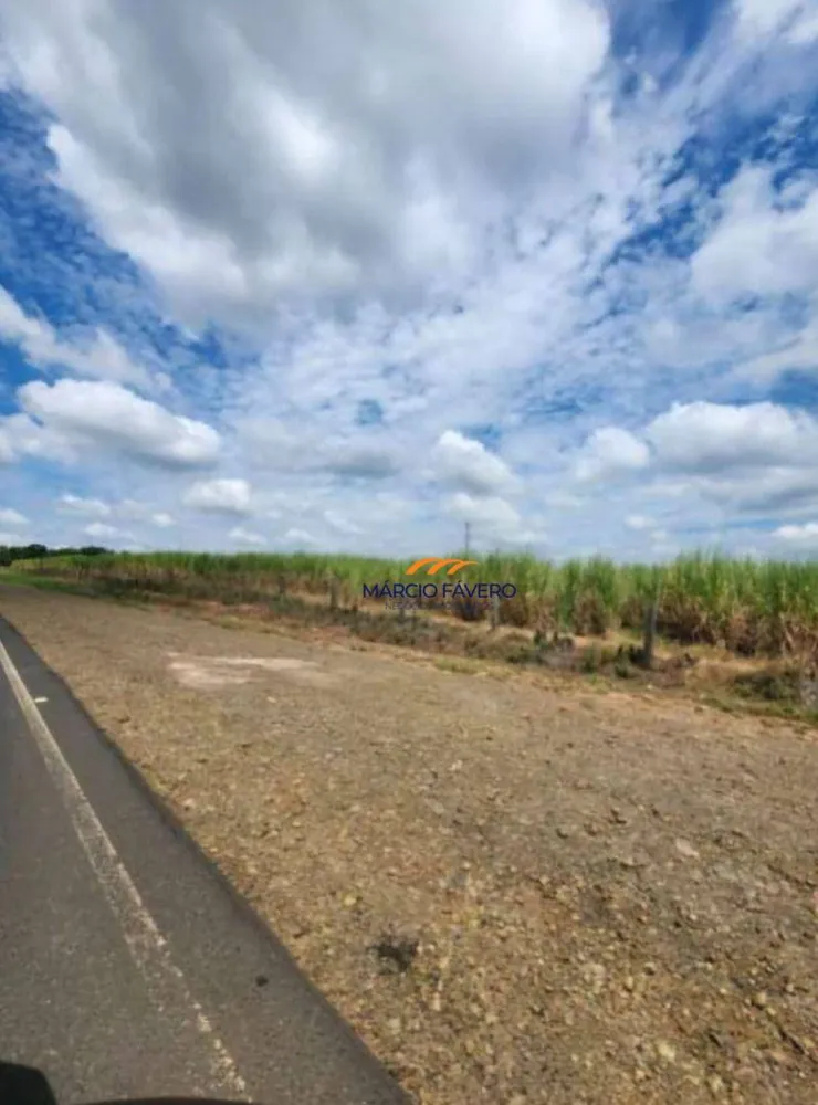 Fazenda, 109 hectares - Foto 11