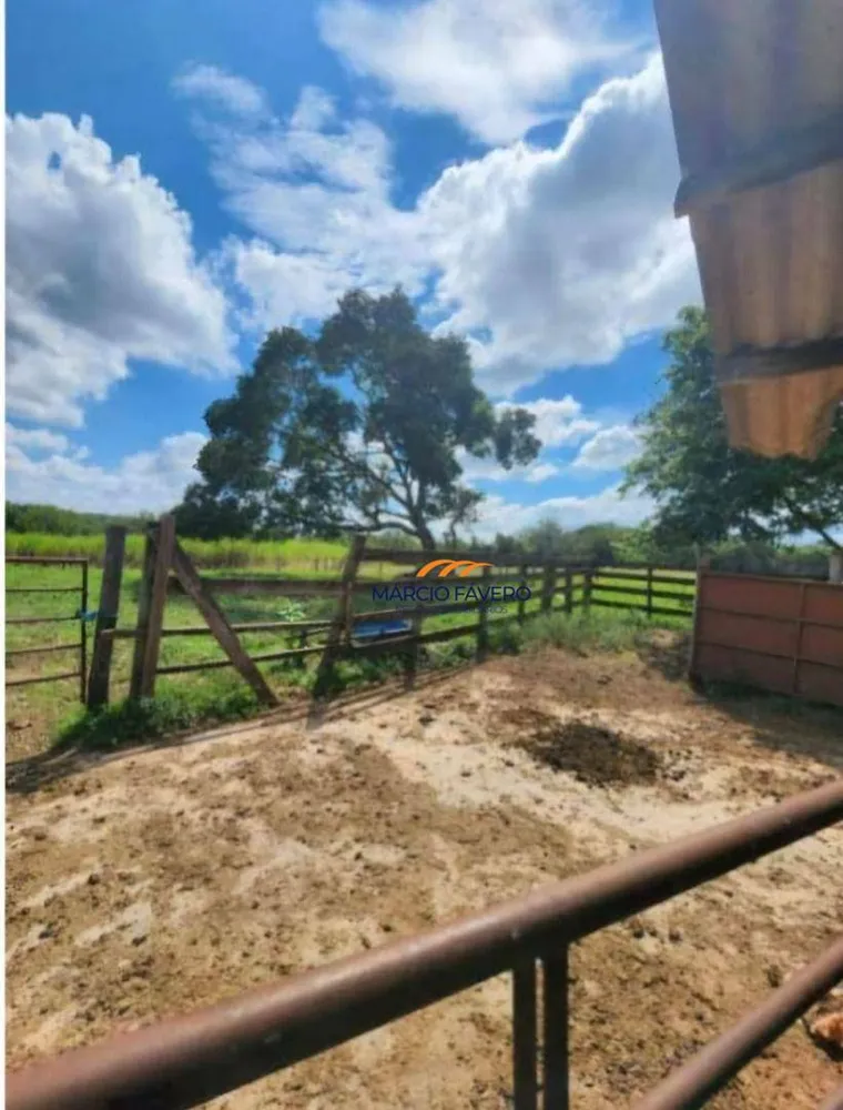 Fazenda, 109 hectares - Foto 4