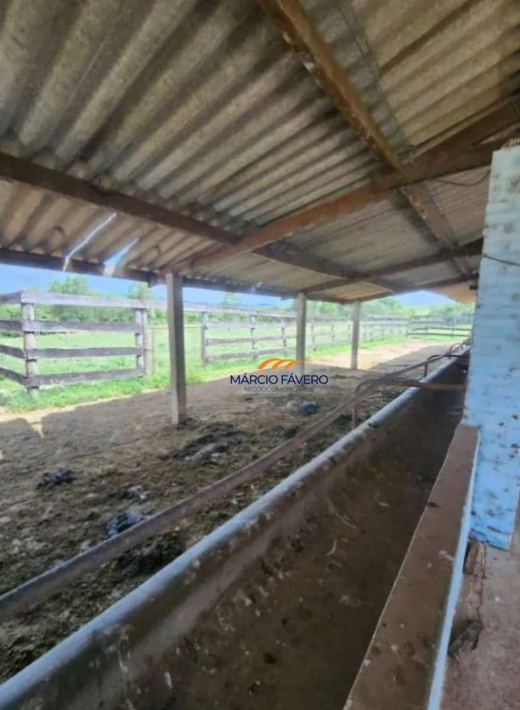Fazenda, 109 hectares - Foto 7