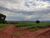 Fazenda, 736 hectares - Foto 2