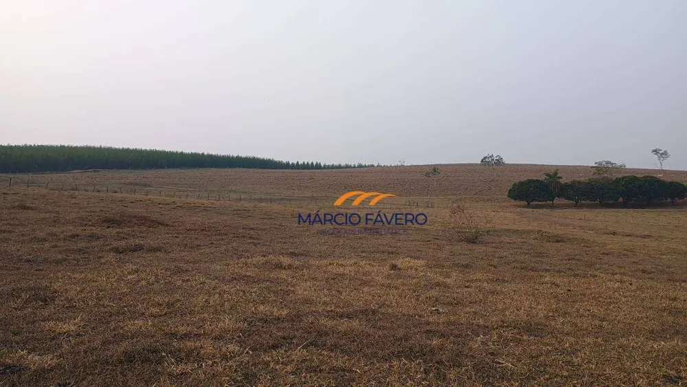 Fazenda, 121 hectares - Foto 1