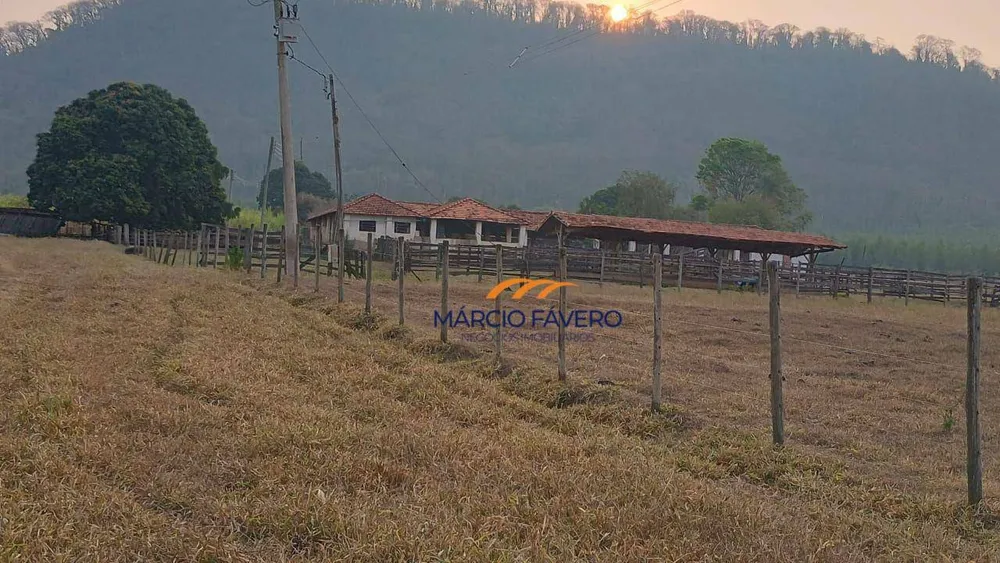 Fazenda, 121 hectares - Foto 12