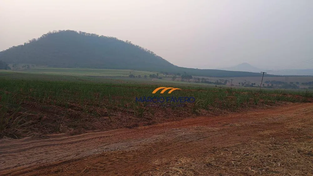 Fazenda, 121 hectares - Foto 3