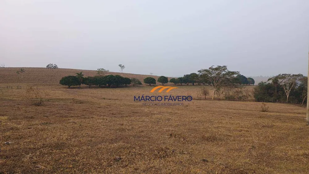 Fazenda, 121 hectares - Foto 6
