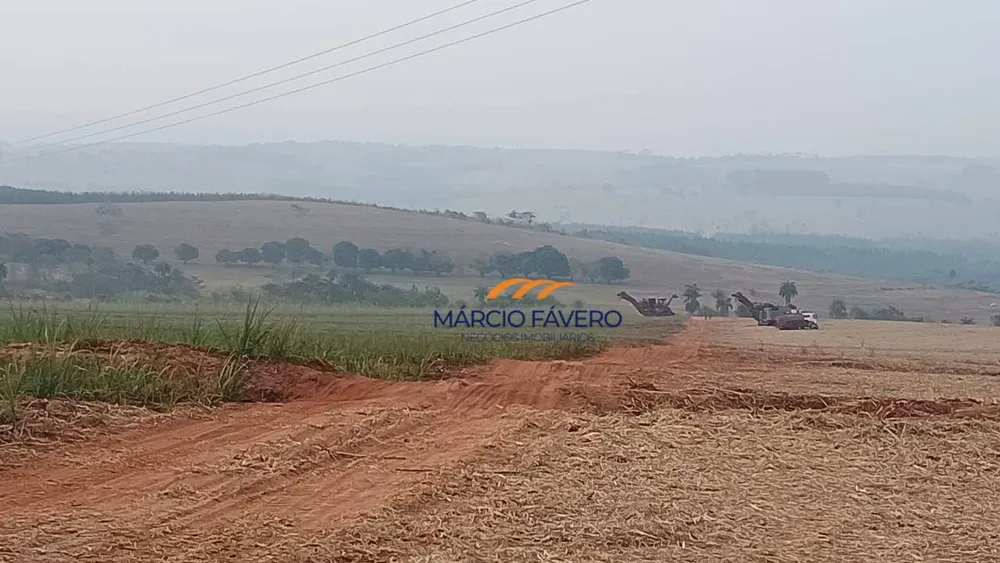Fazenda, 121 hectares - Foto 7