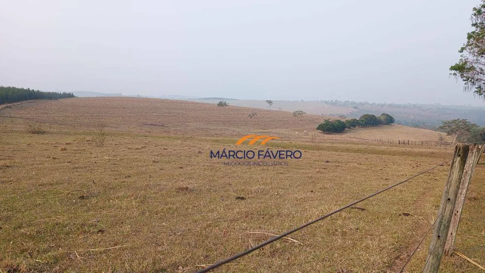 Fazenda, 121 hectares - Foto 10