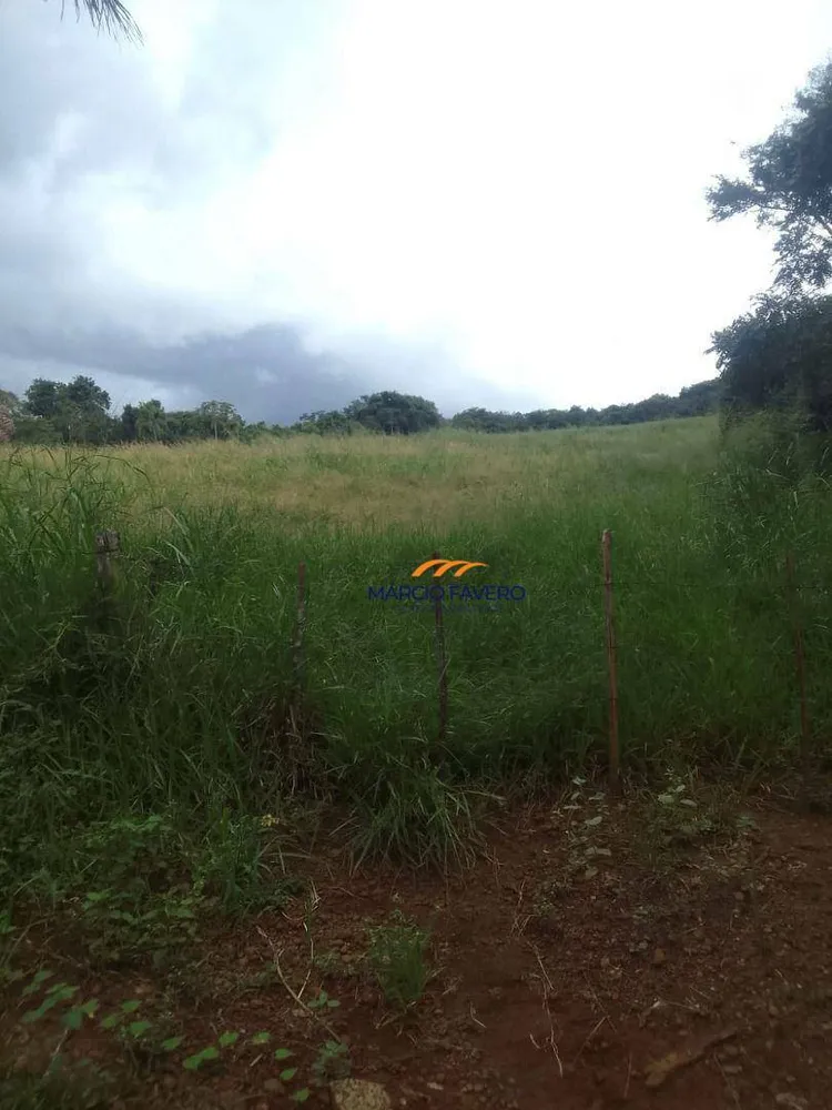 Fazenda, 102 hectares - Foto 3