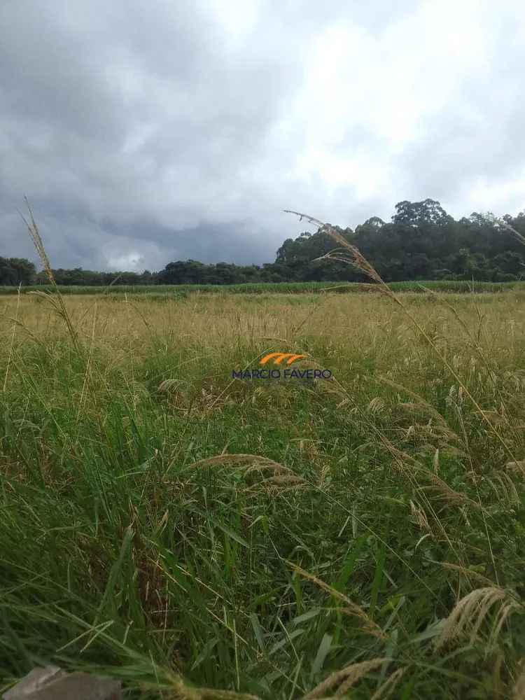 Fazenda, 102 hectares - Foto 12