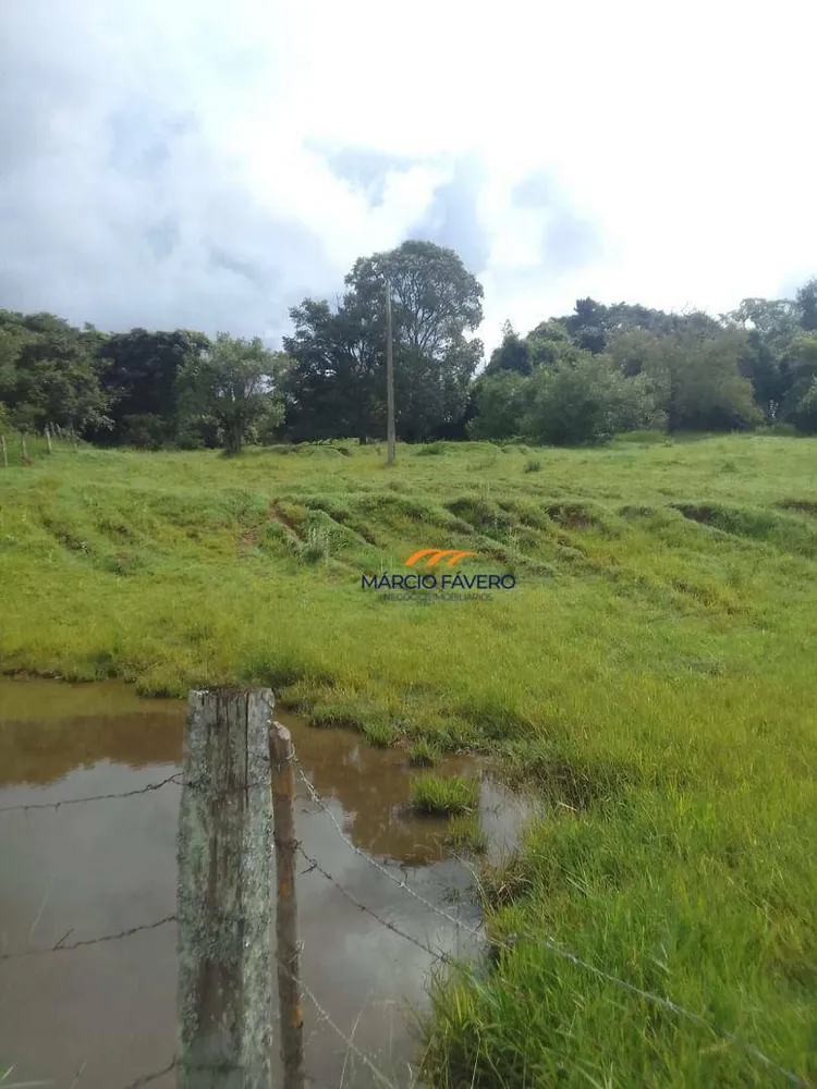 Fazenda, 102 hectares - Foto 10