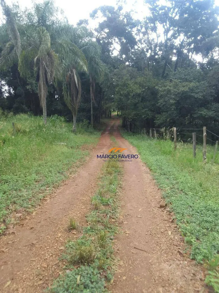 Fazenda, 102 hectares - Foto 7