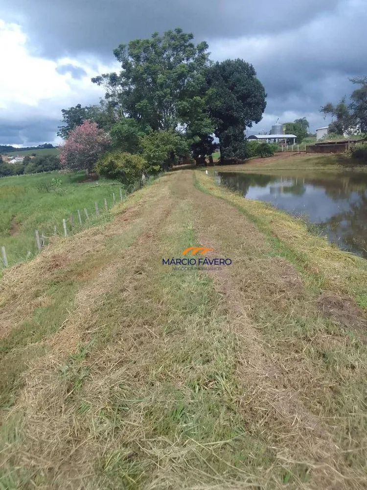Fazenda, 102 hectares - Foto 13