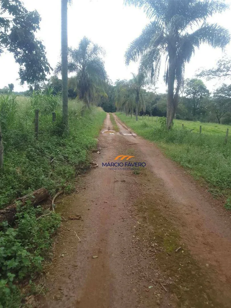 Fazenda, 102 hectares - Foto 6