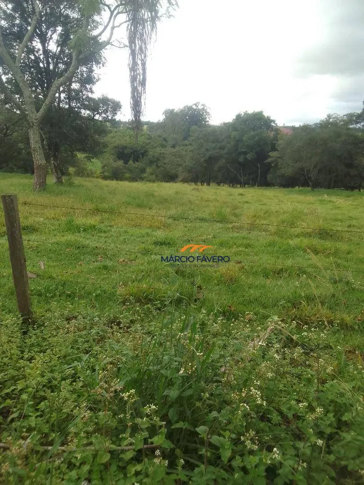 Fazenda, 102 hectares - Foto 2