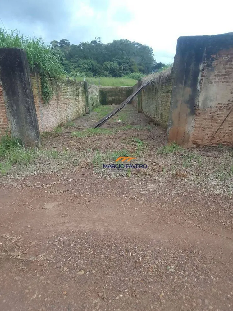 Fazenda, 102 hectares - Foto 6