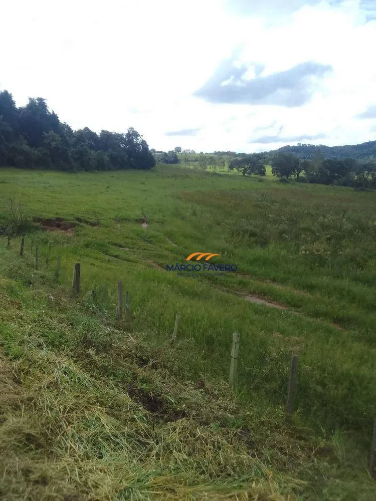 Fazenda, 102 hectares - Foto 15