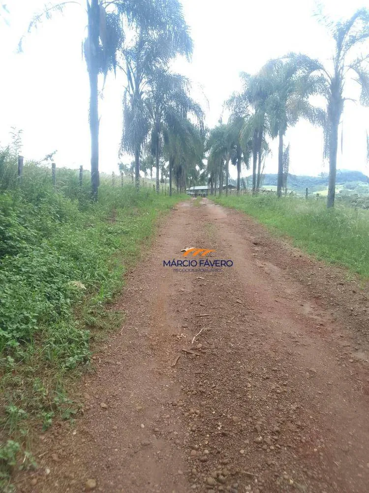 Fazenda, 102 hectares - Foto 16