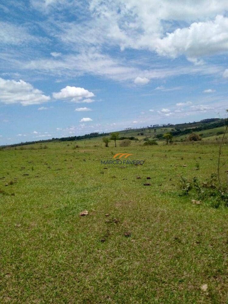 Fazenda, 624 hectares - Foto 10