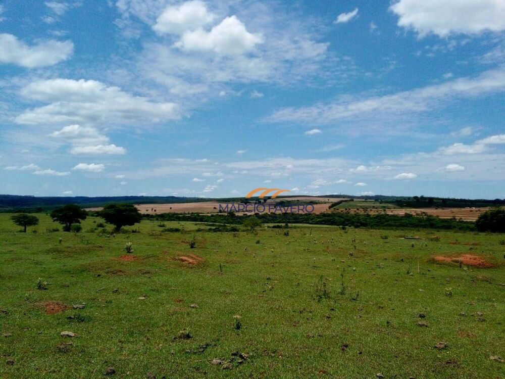 Fazenda, 624 hectares - Foto 7