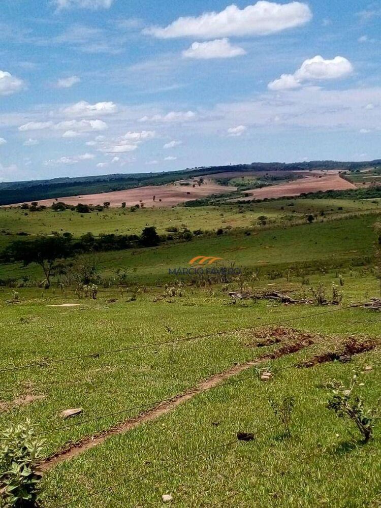 Fazenda, 624 hectares - Foto 1