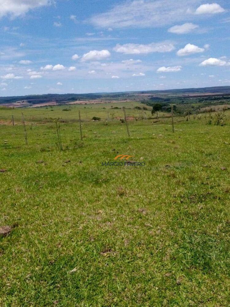 Fazenda, 624 hectares - Foto 6