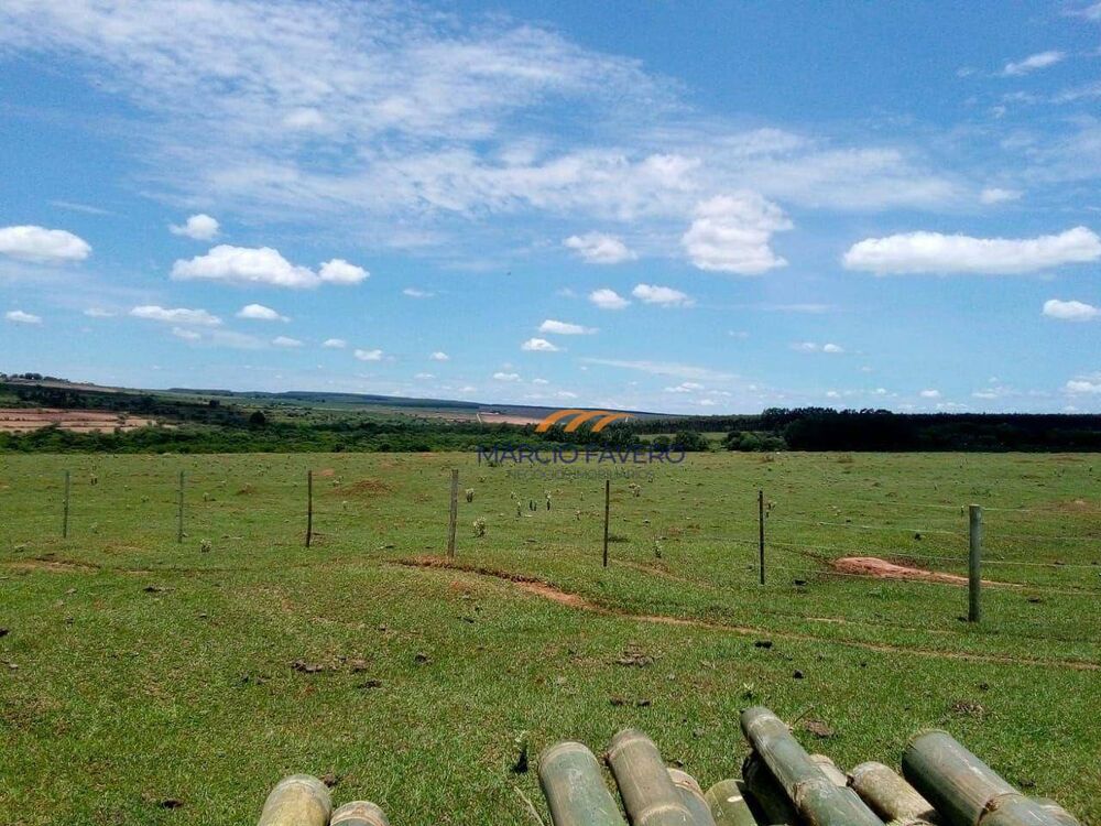 Fazenda, 624 hectares - Foto 8