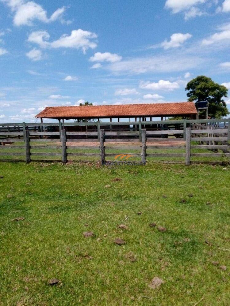 Fazenda, 624 hectares - Foto 4