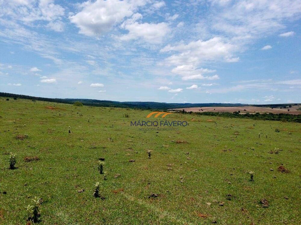 Fazenda, 624 hectares - Foto 3